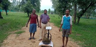 पशुपालको से अब तक खरीदा गया एक लाख 20 हजार किलो से अधिक गोबर