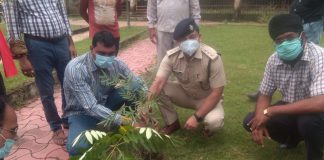 असंगठित कामगार कल्याण समिति के द्वारा पौधारोपण का कार्यक्रम