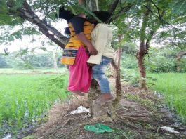 पेड़ पर फंदे से लटकी मिली प्रेमी जोड़े की लाश