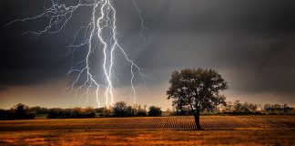 आसमानी गाज की चपेट में आने से युवा की मौत