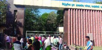 एनटीपीसी ने खोला प्रवेश द्वार.. लोगों की सहूलियत को देखते हुए लिया फैसला..