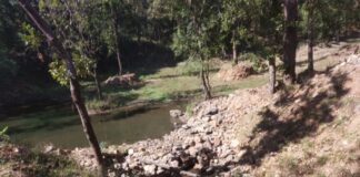 तत्कालीन पाली रेंजर प्रहलाद यादव द्वारा भ्रष्ट्राचारपूर्ण तरीके से निर्माण कराए गए लाखों की लागत का तालाब 3 माह भी नही टिक पाया, मेढ़ फूटने से नही रुकता पानी, नियोजित मजदूरों को भी नही मिली मजदूरी राशि