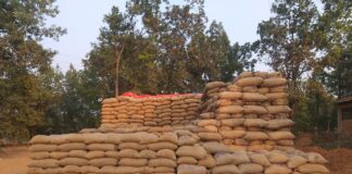 पिछले वर्ष की तुलना में 79 प्रतिशत से अधिक किसानों ने समर्थन मूल्य पर बेचा धान.. 25 हजार 831 किसानों से एक लाख मीट्रिक टन से अधिक की धान खरीदी..