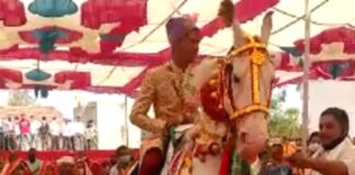 विधायक बने दूल्हा तो उमड़ी भीड़, बिना मास्क लगाए पहुंचे बाराती..