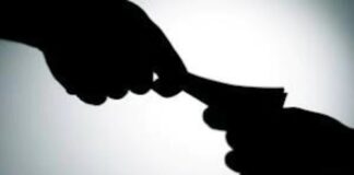 छत्तीसगढ़: BAMS डॉक्टर से बीएमओ, तहसीलदार और सब इंस्पेक्टर ने वसूली रिश्वत, उड़ाई मौज.. अब सब नपे