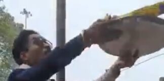 छत्तीसगढ़: शराब प्रेमी का अजब-गजब वीडियो हुआ वायरल, दुकान के बाहर जलाई अगरबत्ती और फिर… देखिए वीडियो