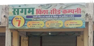 CG BREAKING: वीकेंड लॉकडाउन में नगर निगम की बड़ी कार्यवाही लॉकडाउन का उल्लंघन कर खोली दुकान, फिश मार्केट के संगम मछली दुकान को किया गया सील