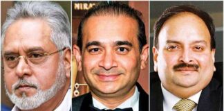 एक्शन का दिखने लगा असर: विजय माल्या, नीरव मोदी, मेहुल चोकसी की 9371 करोड़ की संपत्ति सरकारी बैंकों को ट्रांसफर