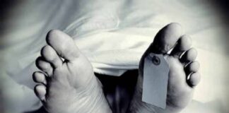 सांप काटने से दो लोगों की मौत, 1 की हालत गंभीर, जाने कैसे हुई घटना