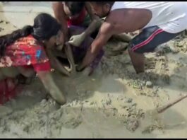 हत्या करने आये बदमाशों से अकेले भिड़ी निहत्थी महिला, पटककर छीन ली पिस्टल
