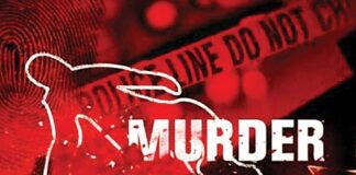 छोटे भाई ने ऐसा क्या कर दिया, गुस्से में बड़े भाई ने गला काटकर कर दी हत्या.. इलाके में सनसनी