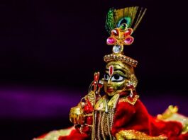 जन्माष्टमी व्रत में क्या खाएं और किन बातों का रखना चाहिए ध्यान