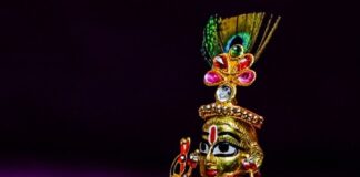 जन्माष्टमी व्रत में क्या खाएं और किन बातों का रखना चाहिए ध्यान