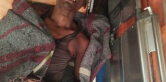खेत जा रहे किसान पर तीन भालुओं ने एक साथ किया हमला, जिला अस्पताल मे भर्ती…