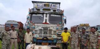 छत्तीसगढ़: ट्रक से 9 लाख का गांजा जब्त, नमक की बोरियों में छिपाकर कर रहे थे तस्करी