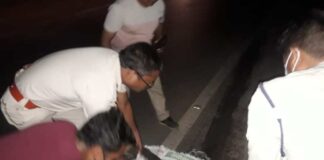 कोरबा: पाली मार्ग पर हुआ दर्दनाक हादसा, पैदल चल रहे है ग्रामीण को टेलर ने कुचला..