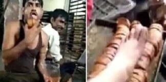 टोस्ट को चाटा.. पैर रखा फिर पैक किया, लोग बोले- तुरंत अरेस्ट करो इसको