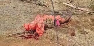 कोरबा: महिला की दिनदहाड़े हत्या.. जमीन को लेकर हुआ विवाद.. फिर जेठ ने टांगी से 3 बार वार कर मार दिया