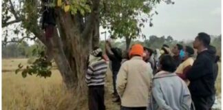 कोरबा: जामुन के पेड़ में युवक ने लगाई फांसी.. जांच में जुटी दर्री पुलिस