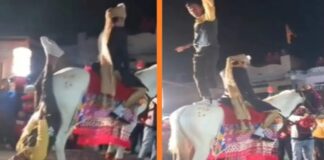 OMG: घोड़ी की पूंछ पर लटककर दिखाये करतब, ताली बजाते रहे लोग, किसी ने नहीं समझा बेजुबां का दर्द