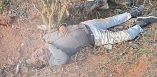 पार्षद पति की मौत, पेड़ से जा टकराई बाइक