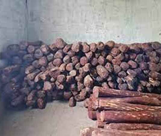 2 करोड़ 45 लाख की चंदन की लकड़ी जब्त, तस्कर ने अपनाया था ‘पुष्पा फिल्म का स्टाइल’