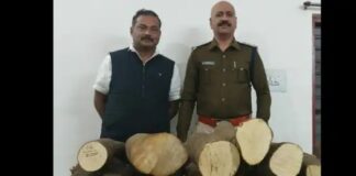 ‘पुष्पा’ की तरह छत्तीसगढ़ में चंदन की तस्करी, 100 KG सफेद लकड़ी जब्त