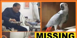 तोता लापता हुआ तो पत्नी ने छोड़ा खाना, डॉक्टर पति ने अखबार में निकाला इश्तहार, इनाम की घोषणा