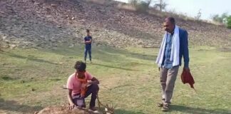 कोरबा: जंगल की आग में झुलसने से चीतल की मौत, पेंड्रा-अमरकंटक मार्ग पर धुआं ही धुआं