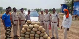 क्रेटा कार से 16 लाख का गांजा जब्त, एक तस्कर गिरफ्तार