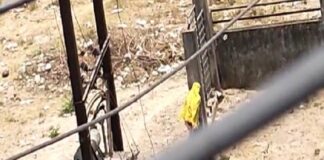 कोरबा: शादी से इनकार करने पर लड़की का ड्रामा… दीवार फांदकर पहुंची घर के पास, बोली-रेप के मामले में फंसा दूंगी