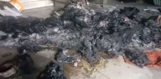 कोरबा ब्रेकिंग: वरिष्ठ कांग्रेस नेता के ऑफिस का ताला तोड़ बदमाशों ने लगाई आग..