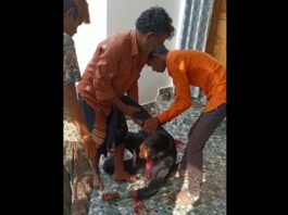 प्यार में पागल युवक ने लड़की के घर में घुसकर किया प्रपोज, इनकार करने पर युवक ने अपने हाथ की नस काट ली