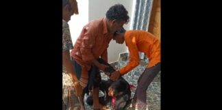 प्यार में पागल युवक ने लड़की के घर में घुसकर किया प्रपोज, इनकार करने पर युवक ने अपने हाथ की नस काट ली