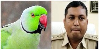 छत्तीसगढ़ः मालिक से दगाबाजी कर फूर्र हुआ तोता, शख्स ने पुलिस से लगाई मदद की गुहार