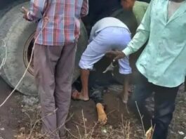 भीषण सड़क हादसा, ट्रक में फंसा बाइक सवार का शव