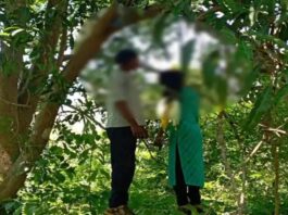 प्रेमी जोड़े ने की ख़ुदकुशी, पेड़ पर लटका मिला शव