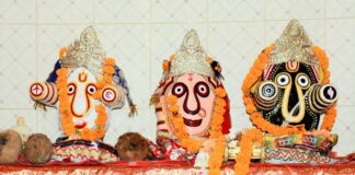 कोरबा: ग्राम दादर खुर्द में निकलेगी ऐतिहासिक रथ यात्रा
