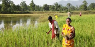 बालको की परियोजना मोर जल मोर माटी से लगभग 2000 किसान लाभान्वित