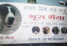 भूरा जी को जन्मदिन की शुभकामनाएं, IPS अधिकारी के इस ट्वीट पर हंसी रोक नहीं पा रहे यूजर्स