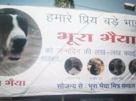 भूरा जी को जन्मदिन की शुभकामनाएं, IPS अधिकारी के इस ट्वीट पर हंसी रोक नहीं पा रहे यूजर्स
