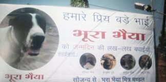 भूरा जी को जन्मदिन की शुभकामनाएं, IPS अधिकारी के इस ट्वीट पर हंसी रोक नहीं पा रहे यूजर्स