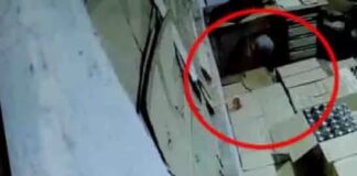 कोरबा: दीवार छेदकर शराब भट्टी में घुसा चोर, चेहरा में ढका हुआ था गमछा