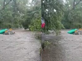 CG VIDEO: बाढ़ में बह गया चावल से भरा ट्रक.. देखिए हादसे का Live वीडियो