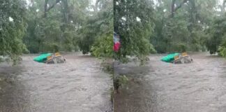 CG VIDEO: बाढ़ में बह गया चावल से भरा ट्रक.. देखिए हादसे का Live वीडियो