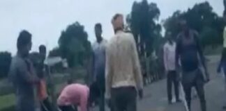 पुलिस ने गाय से बर्बरता मामले में लिया एक्शन, 2 युवक गिरफ्तार