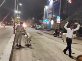हाईवे में बैठे मवेशियों को हटाने खुद डंडा लेकर उतरे डीएसपी