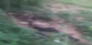 बस स्टैंड के पास सिर कटी लाश मिलने से फैली सनसनी, जांच में जुटी पुलिस