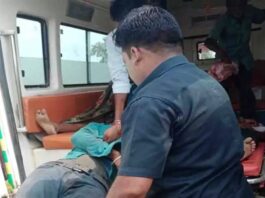 भीषण सड़क हादसे में जीजा साले की दर्दनाक मौत