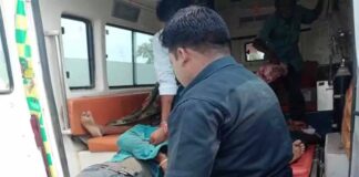 भीषण सड़क हादसे में जीजा साले की दर्दनाक मौत